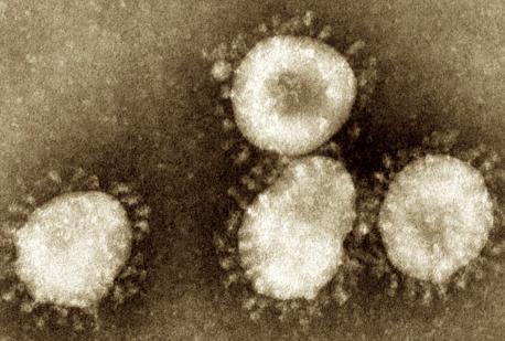 ALLERTA CORONAVIRUS