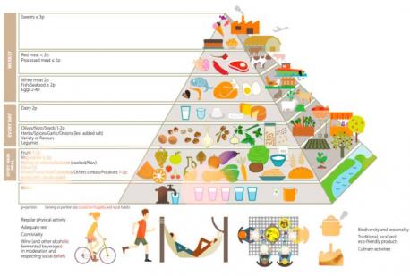 ALIMENTAZIONE E SOSTENIBILITA'