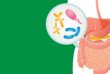 “MICROBIOTA, NEURO-INFIAMMAZIONE E SECONDO CERVELLO: Update e supporto nutrizionale”